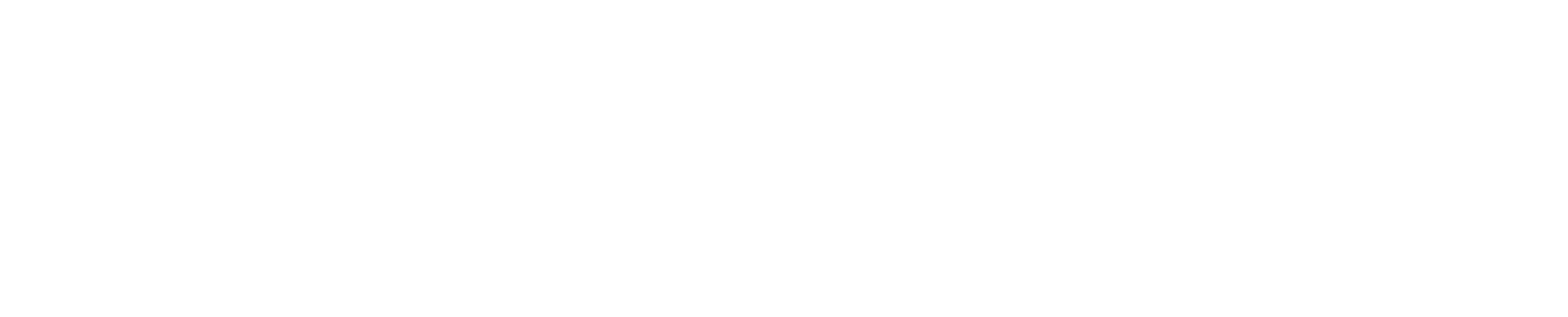 Europass Negative Monochrome Brand Mark